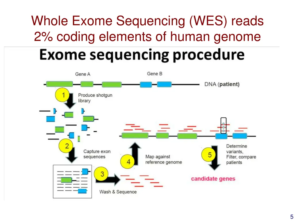 whole exome sequencing wes reads 2 coding