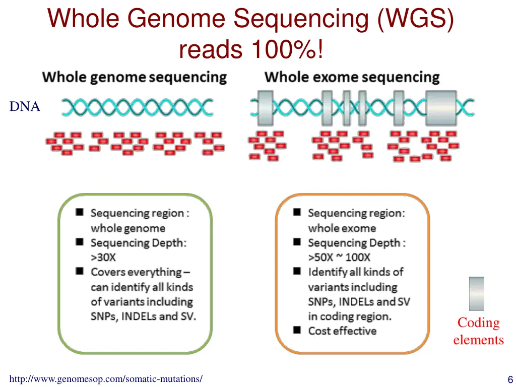 whole genome sequencing wgs reads 100