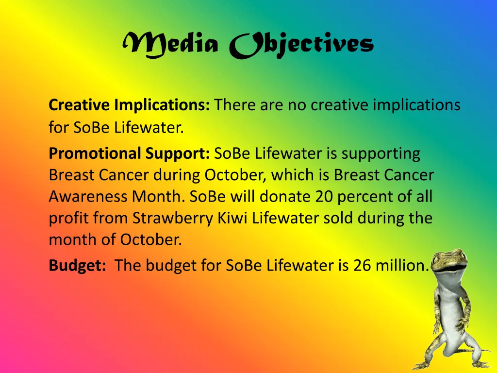 media objectives 1