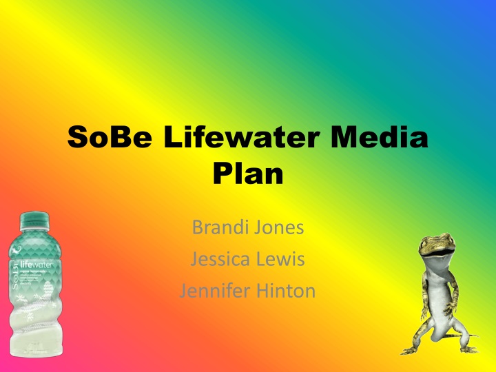 sobe lifewater media plan