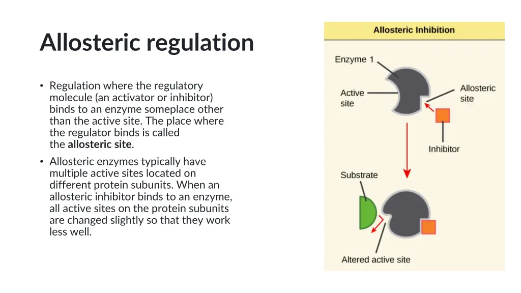 allosteric regulation