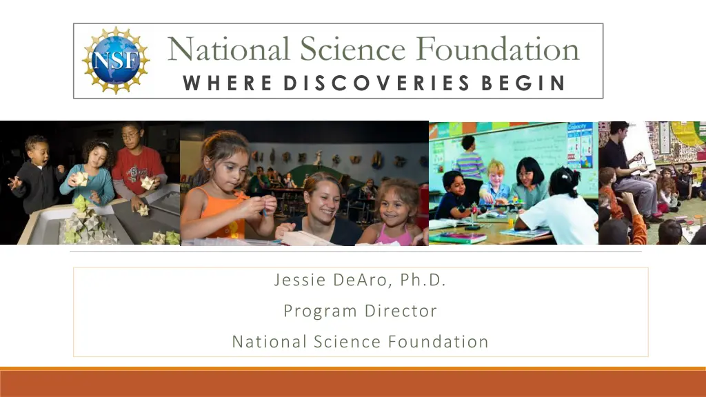 national science foundation 1