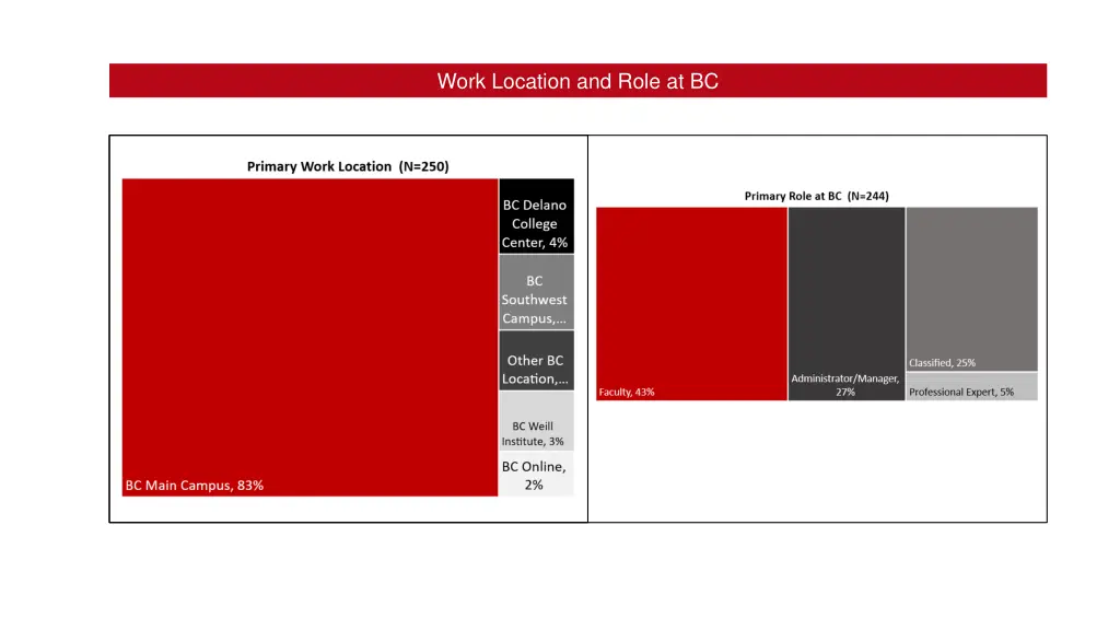 work location and role at bc