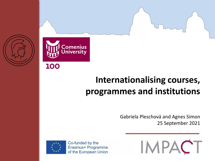 internationalising courses programmes