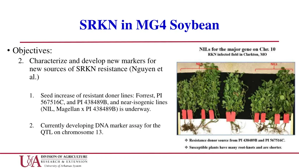 srkn in mg4 soybean 1