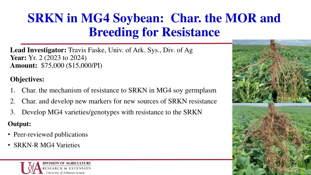 srkn in mg4 soybean char the mor and breeding