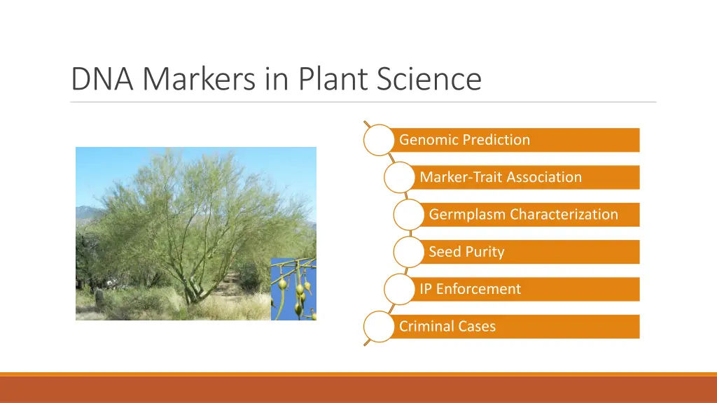 dna markers in plant science