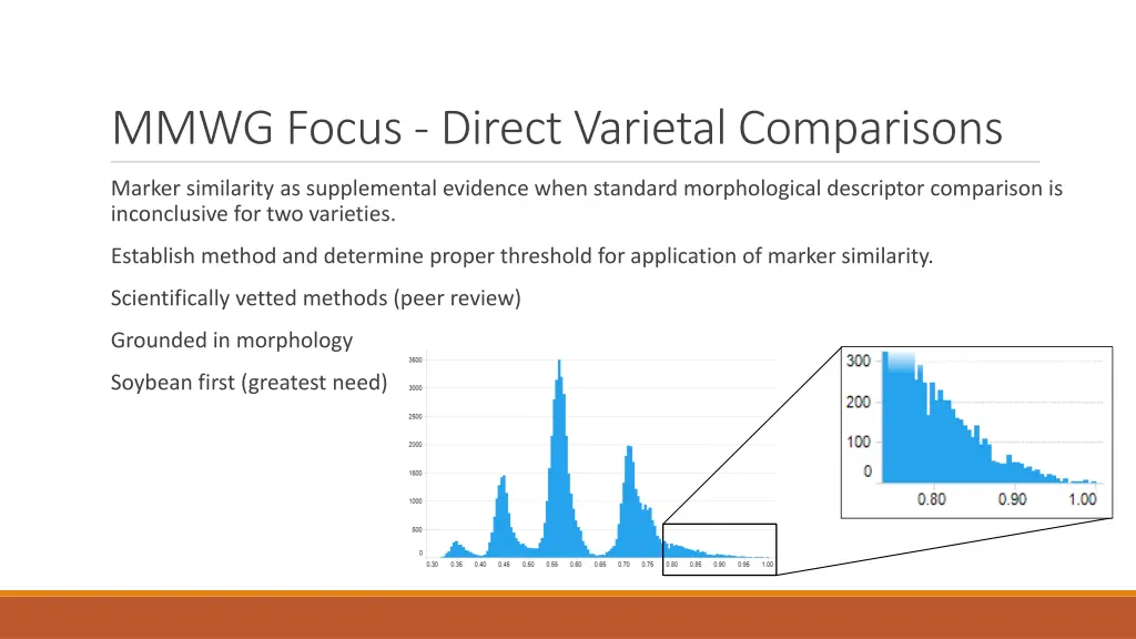 mmwg focus direct varietal comparisons