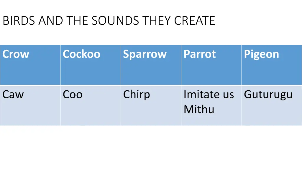 birds and the sounds they create