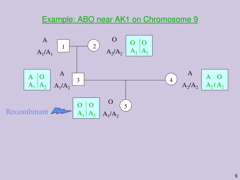 example abo near ak1 on chromosome 9