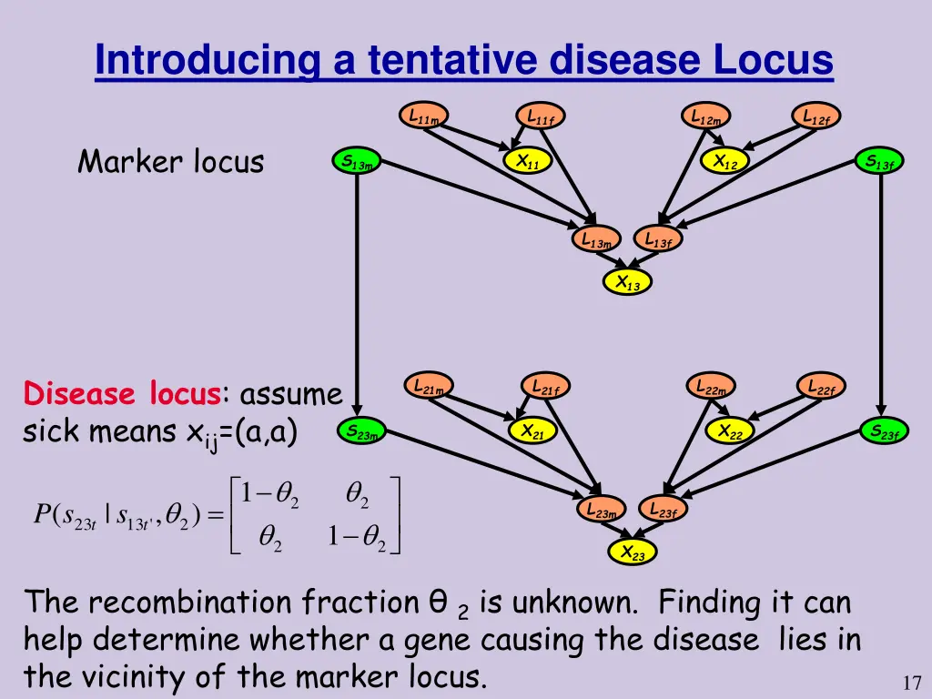 introducing a tentative disease locus