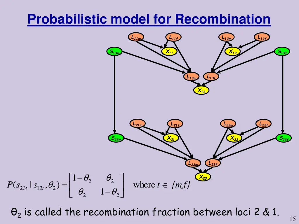 probabilistic model for recombination