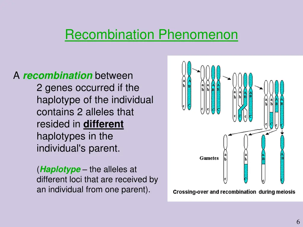 recombination phenomenon