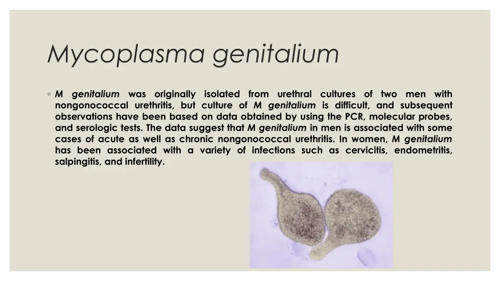 mycoplasma genitalium