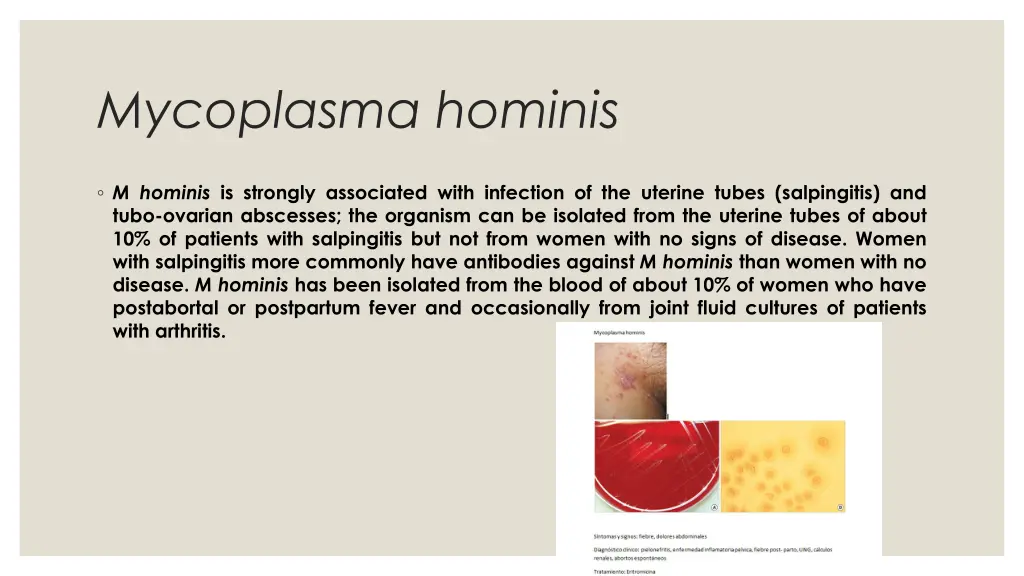 mycoplasma hominis