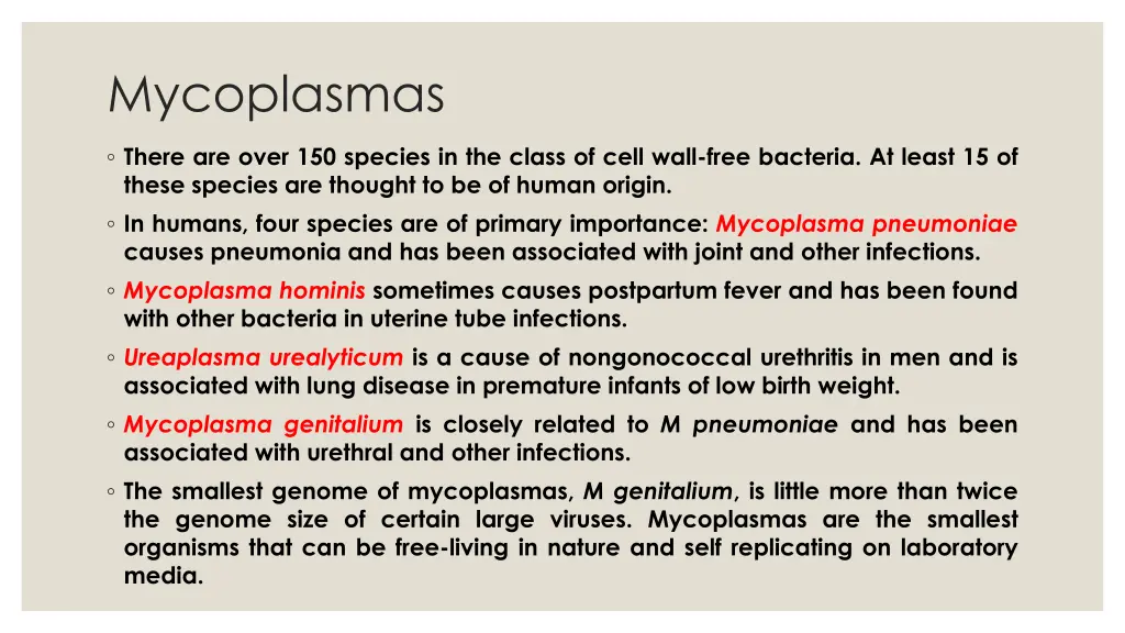 mycoplasmas