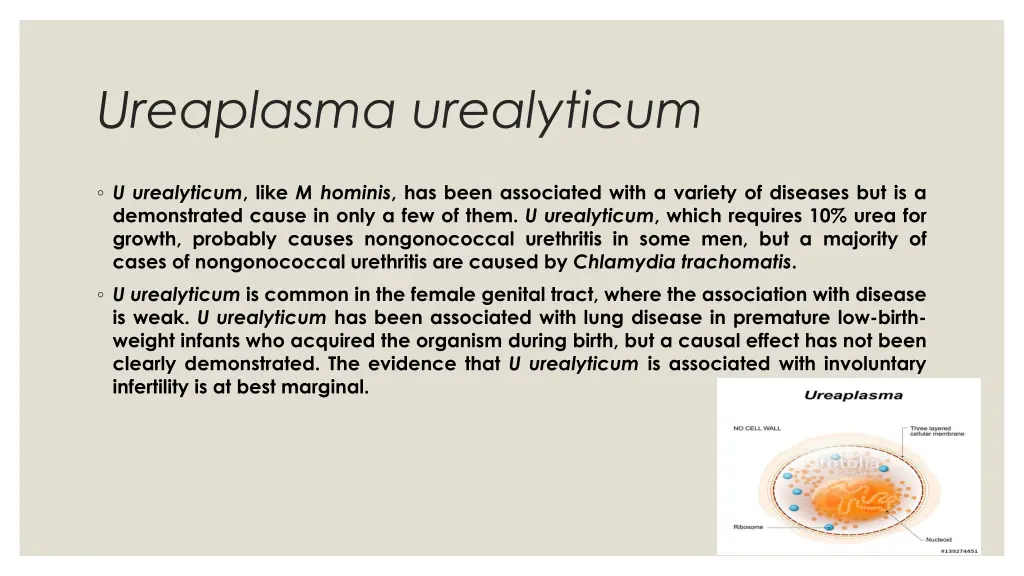 ureaplasma urealyticum