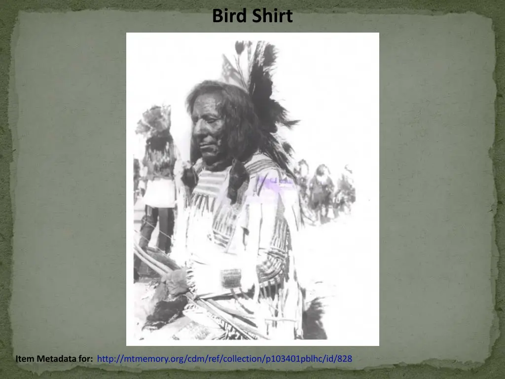 bird shirt