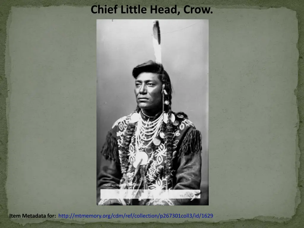 chief little head crow