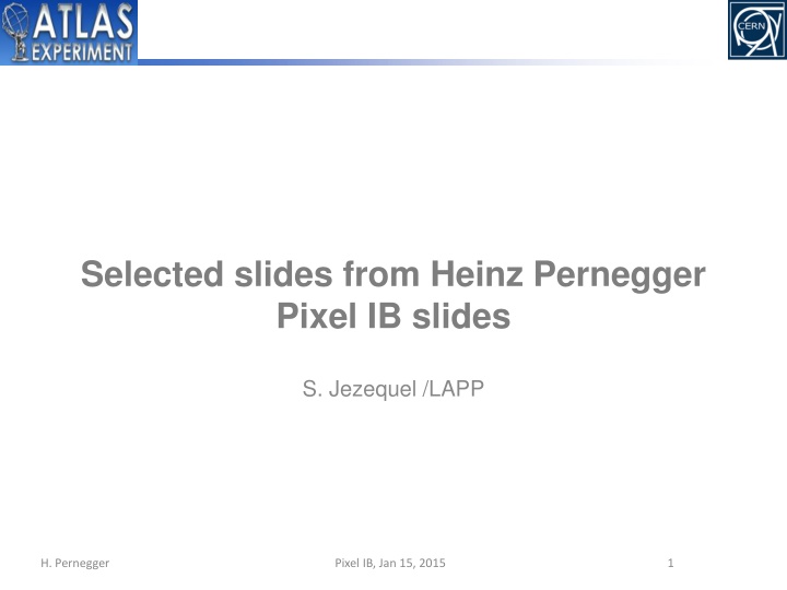 selected slides from heinz pernegger pixel