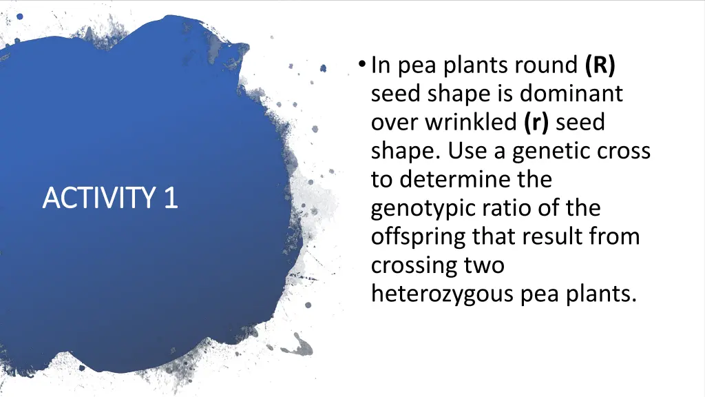 in pea plants round r seed shape is dominant over