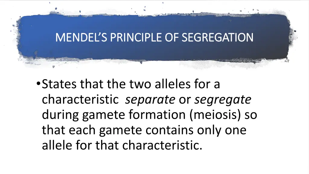 mendel s principle of segregation mendel