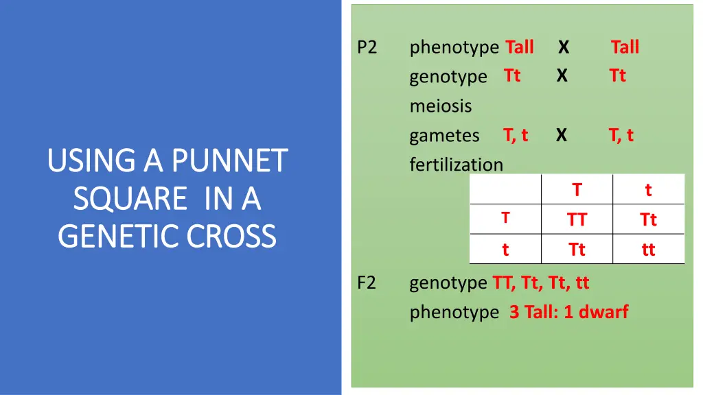 slide6