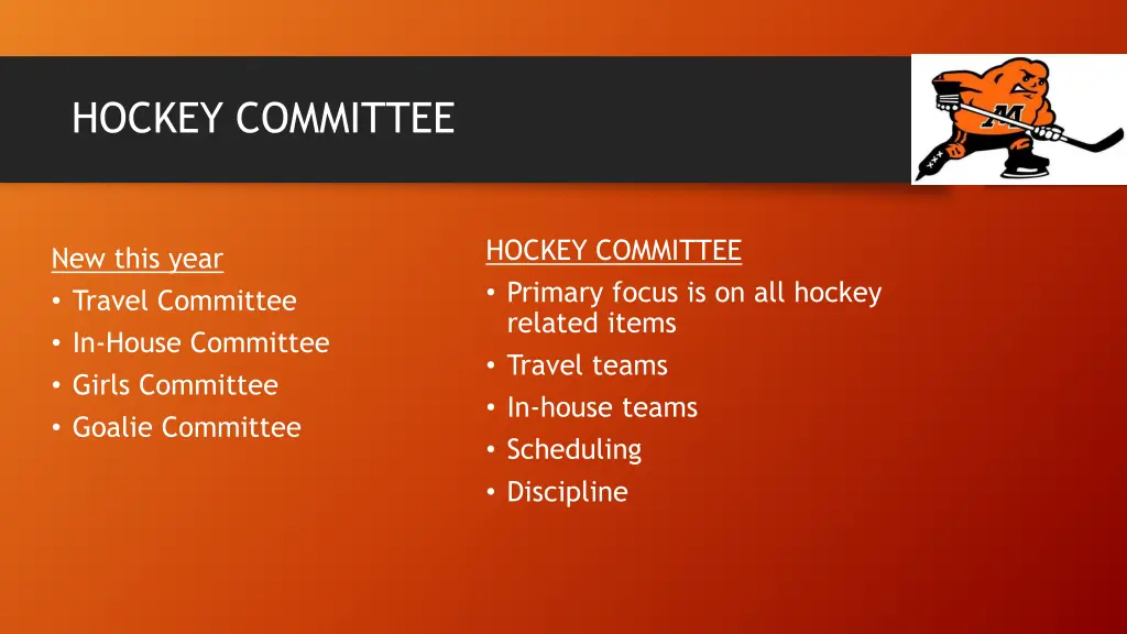 hockey committee