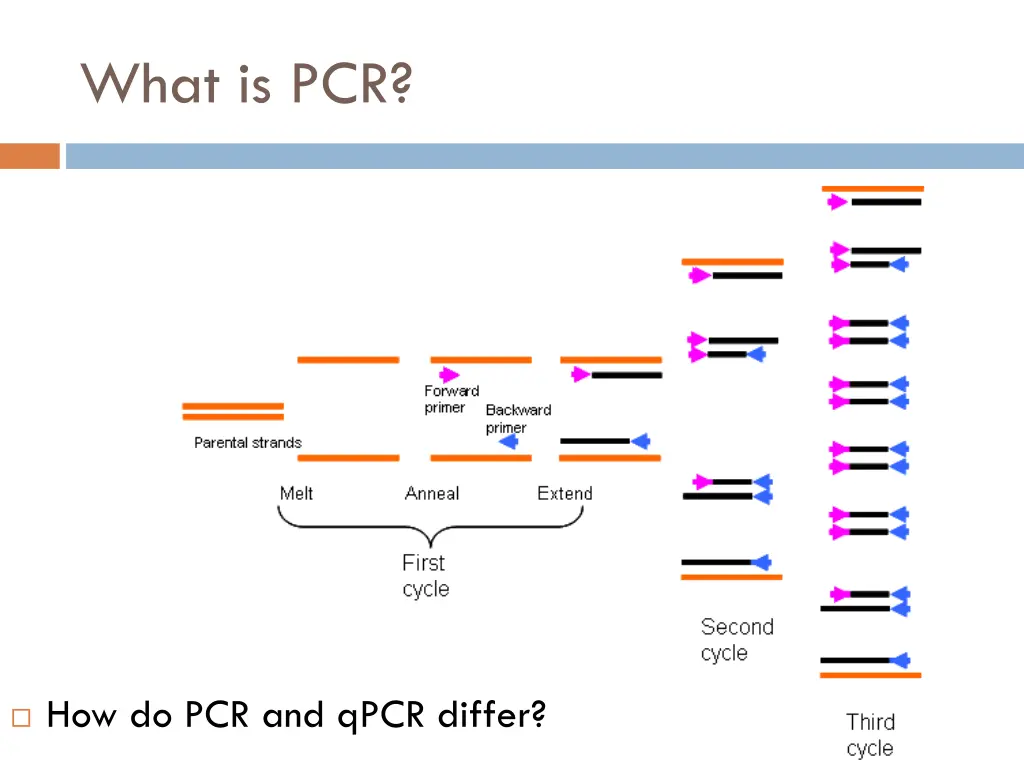 what is pcr 1