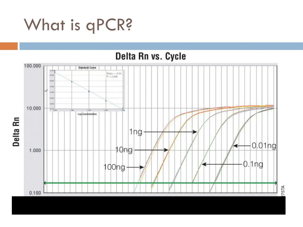 what is qpcr