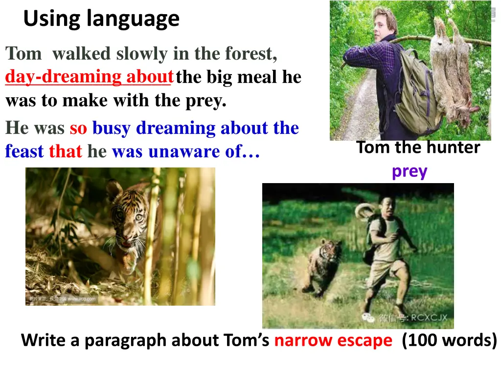 using language tom walked slowly in the forest