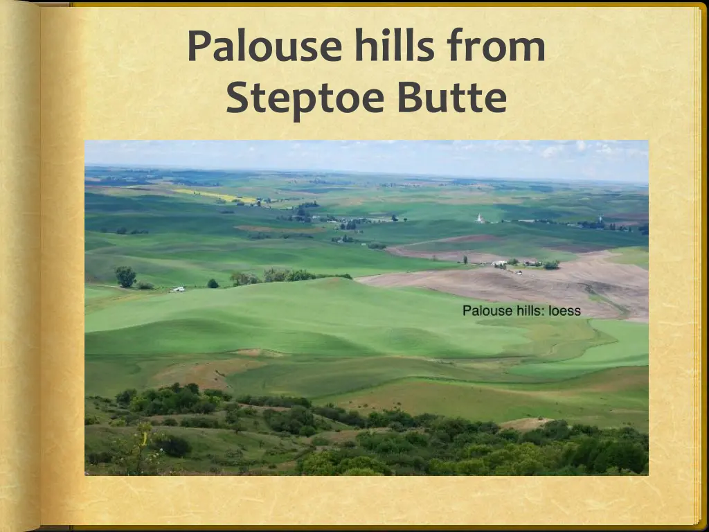 palouse hills from steptoe butte