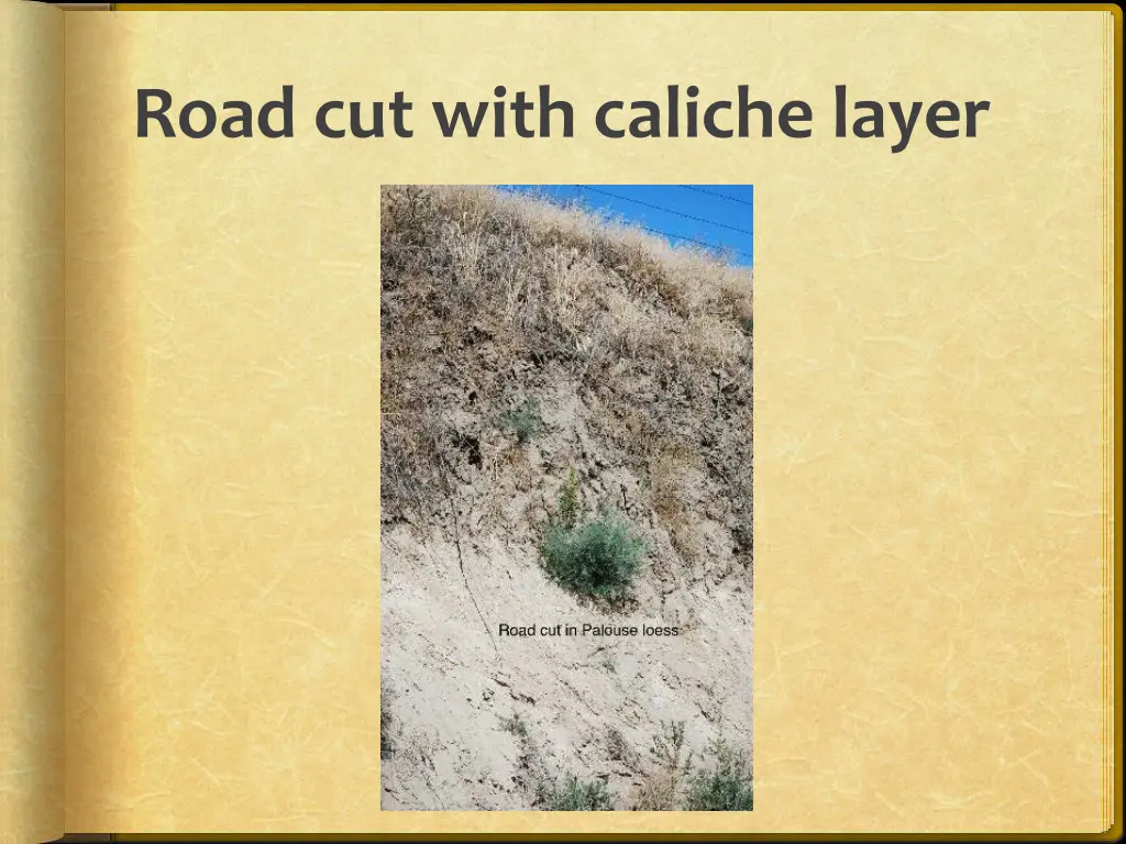 road cut with caliche layer