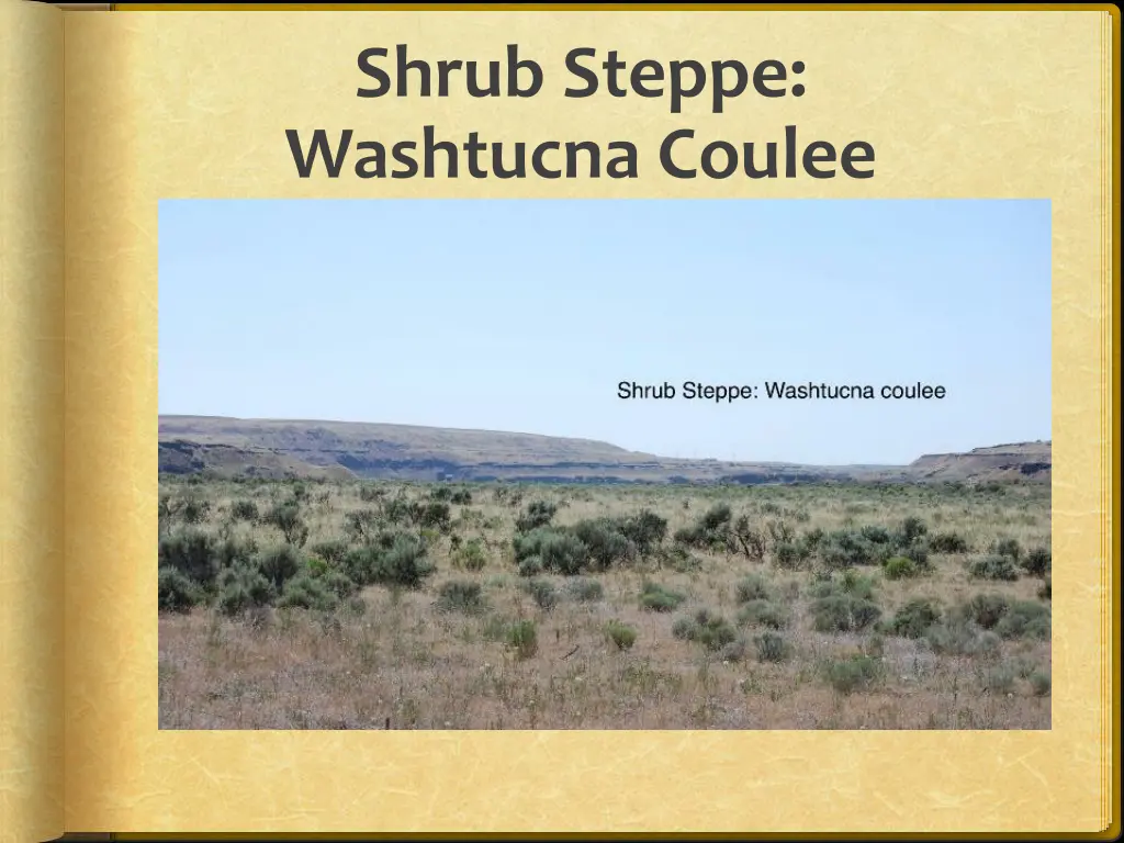 shrub steppe washtucna coulee