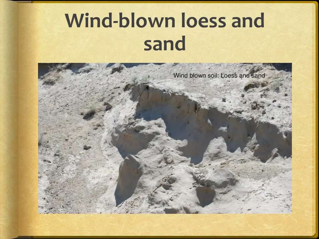 wind blown loess and sand