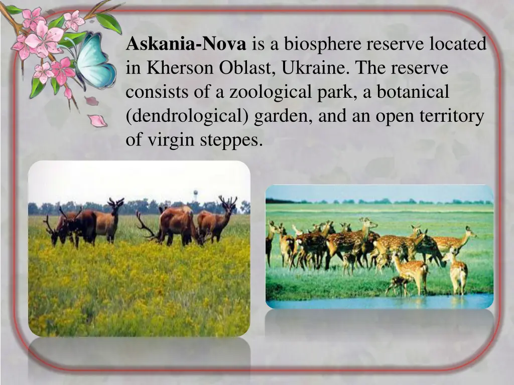 askania nova is a biosphere reserve located