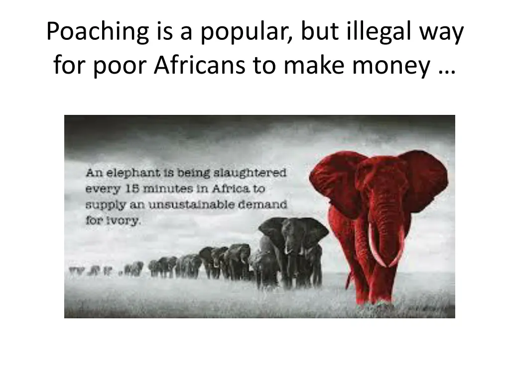 poaching is a popular but illegal way for poor