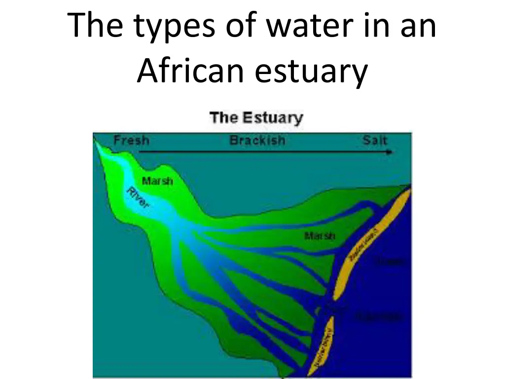 the types of water in an african estuary