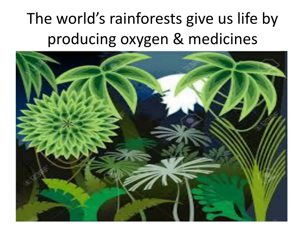 the world s rainforests give us life by producing