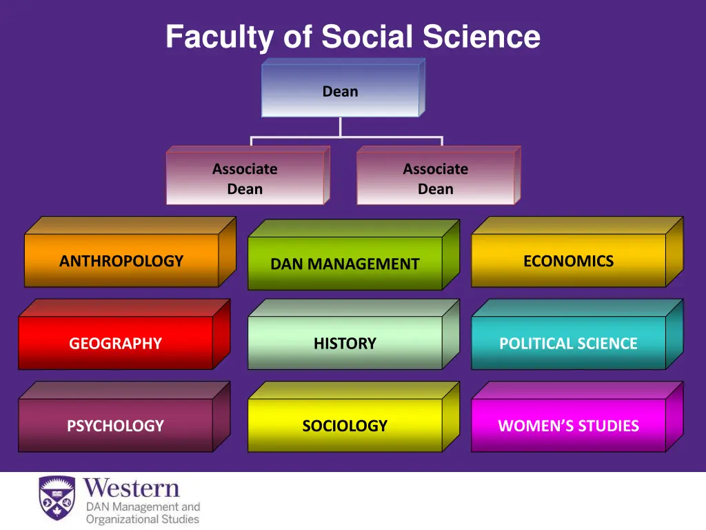 faculty of social science