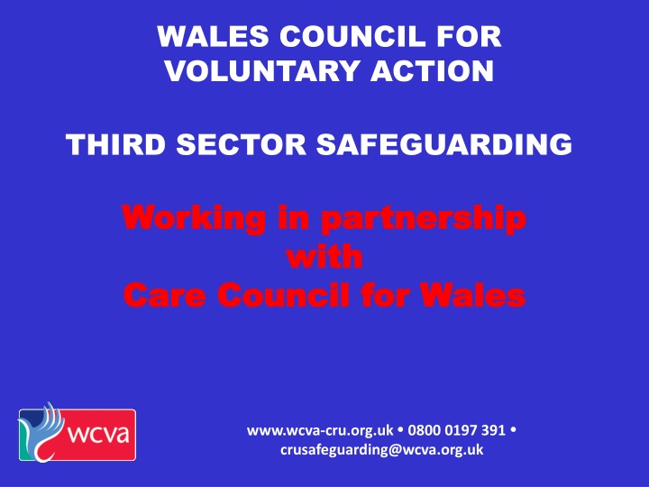 wales council for voluntary action