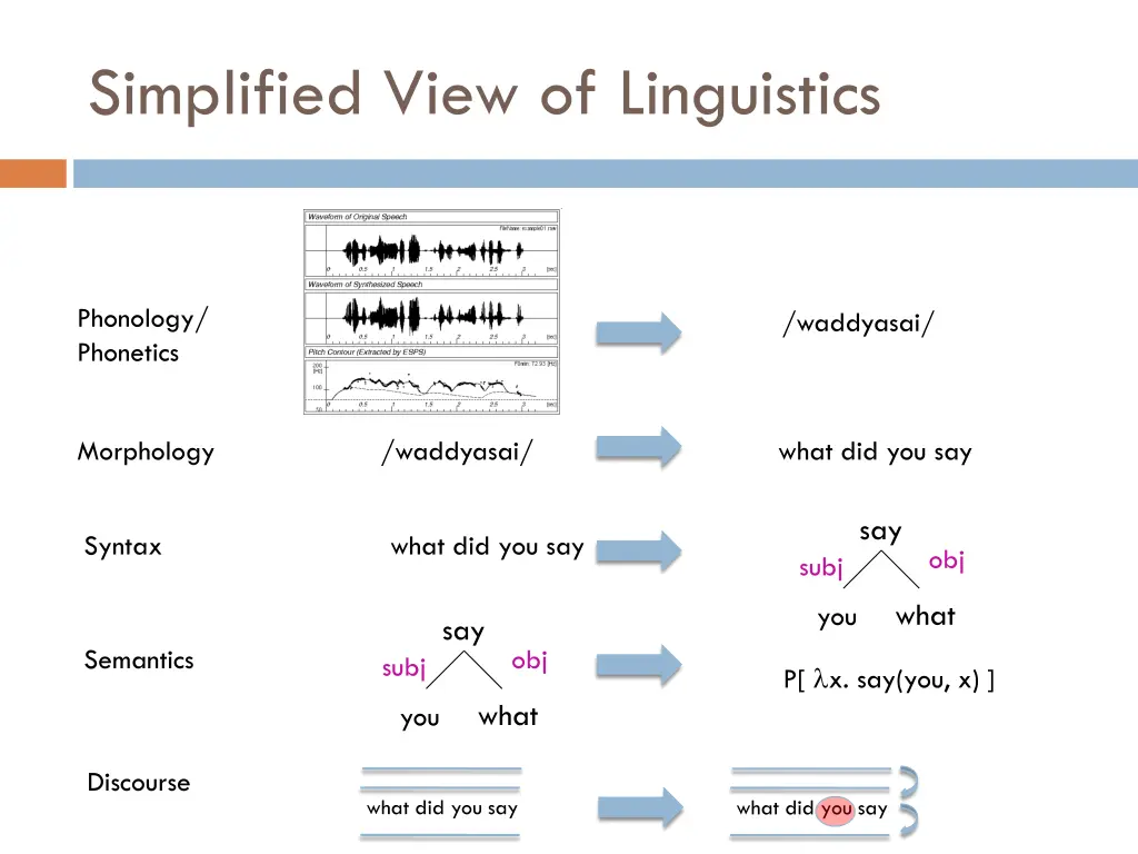 simplified view of linguistics