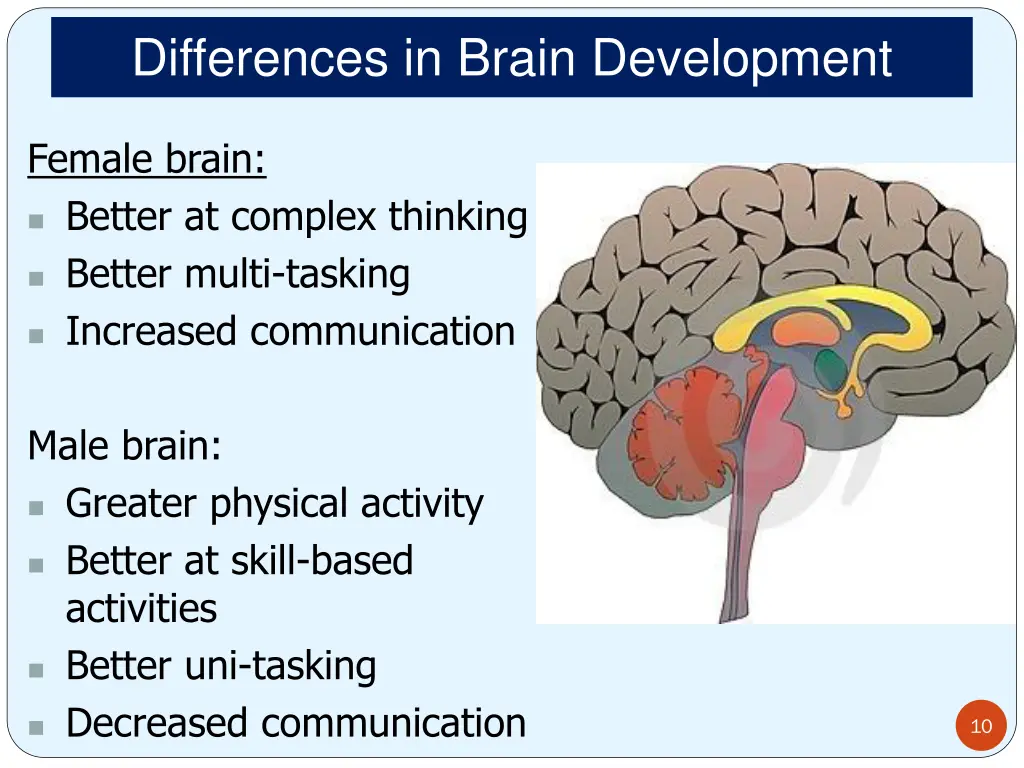 differences in brain development