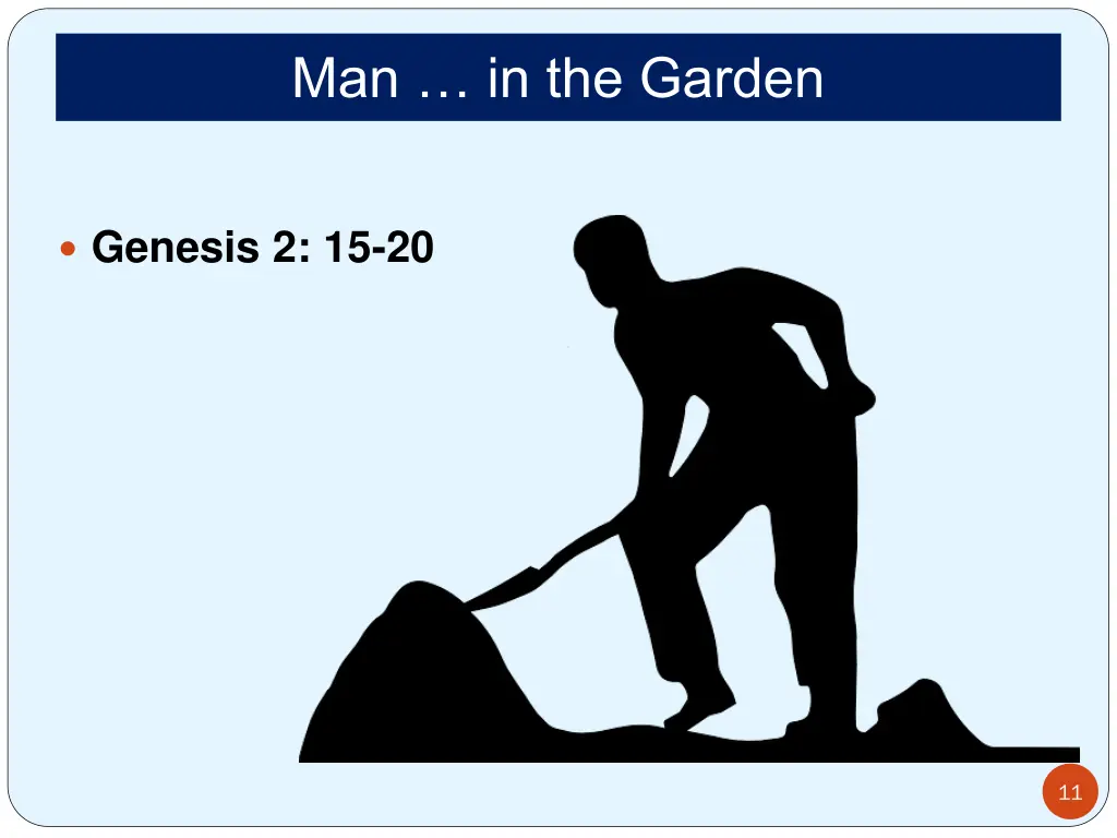 man in the garden