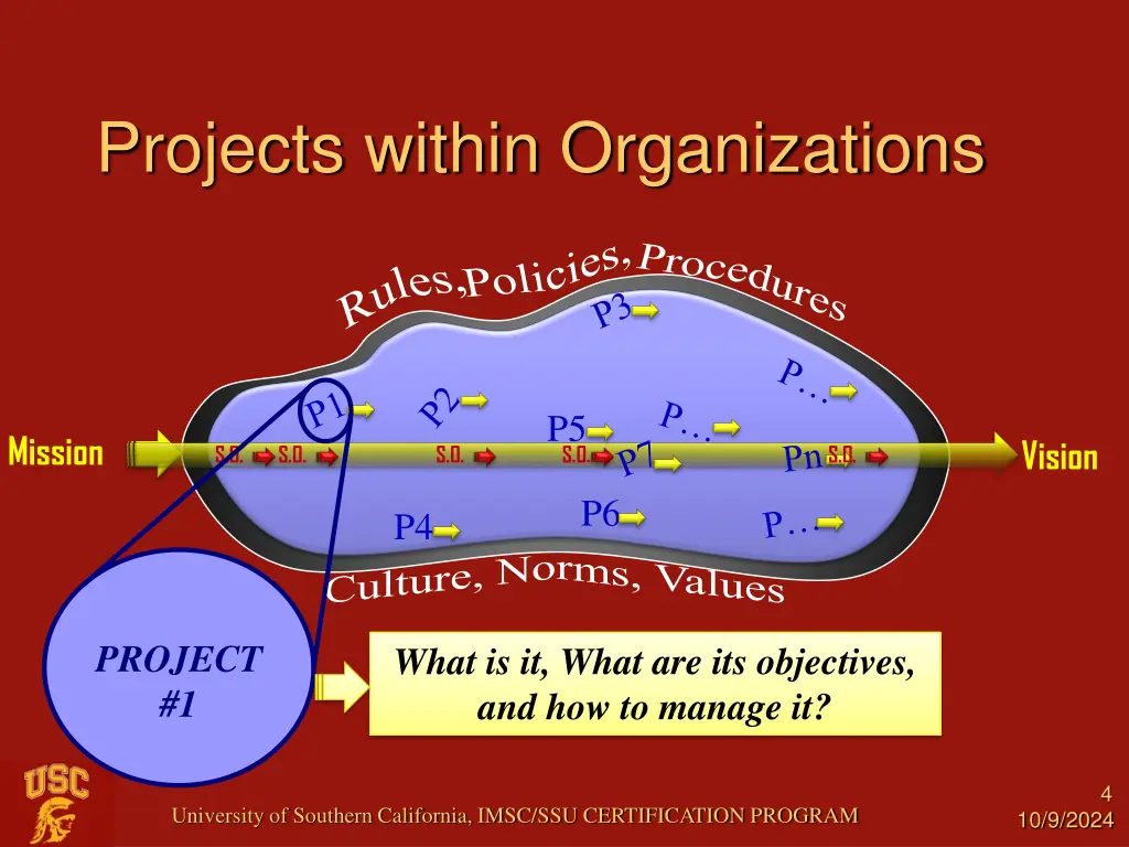 projects within organizations