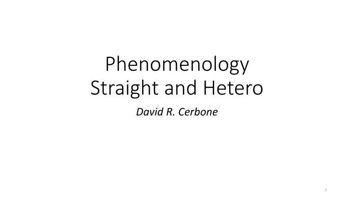 phenomenology straight and hetero