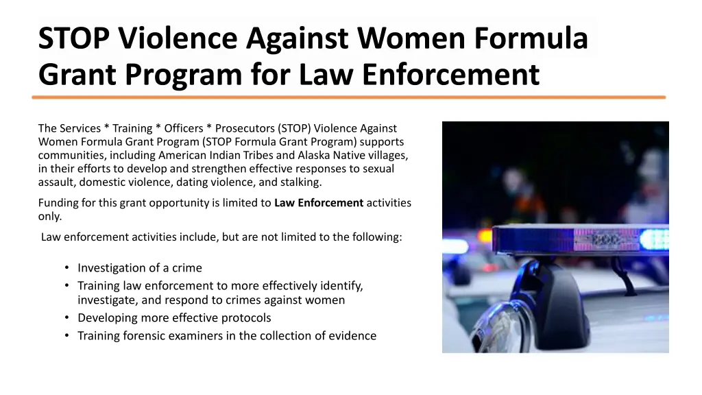 stop violence against women formula grant program