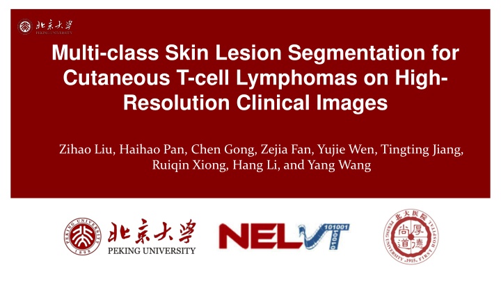 multi class skin lesion segmentation