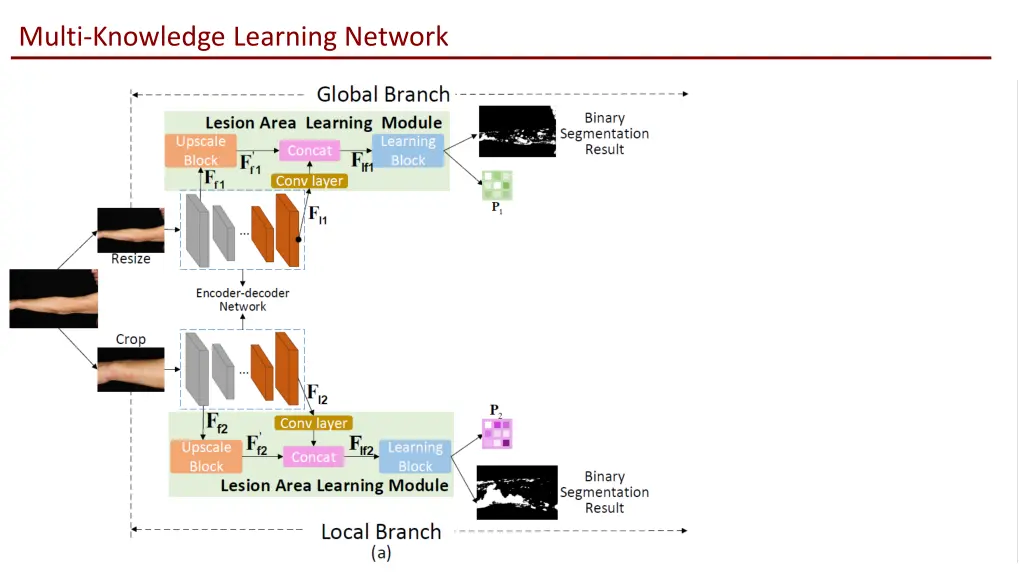 multi knowledge learning network