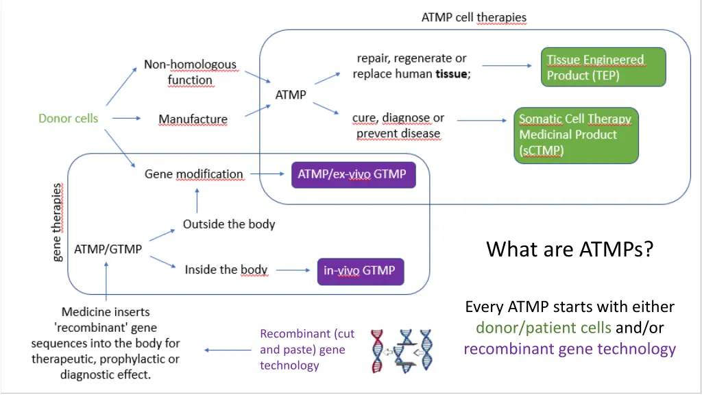 what are atmps 2